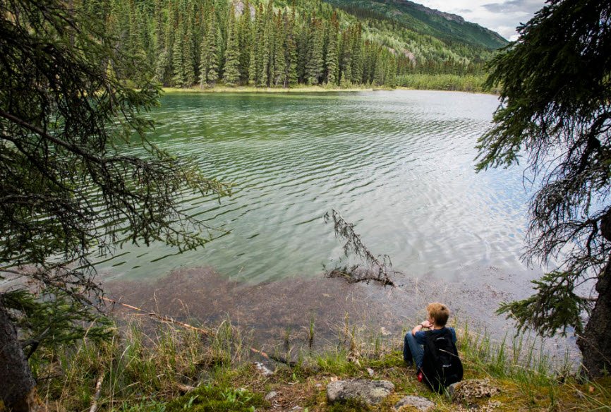 Harding Lake State Recreation Area, Alaska, USA